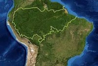Medidas do governo provocam redução de 16% no desmatamento na Amazônia Legal