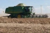 Brasil estabelece metas para o desenvolvimento do setor produtivo