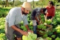 Mais de 112 mil agricultores do Semiárido receberam reservatórios para produção