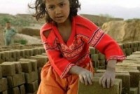 Brasil é líder na erradicação do trabalho infantil, afirma OIT