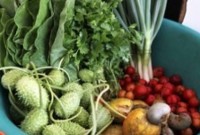 Preços de frutas e hortaliças tiveram queda no mês de outubro