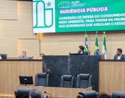 Audiência pública aponta ações necessárias para o combate aos incêndios