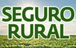 Seguro rural passa de R$ 370 milhões para R$ 420 milhões