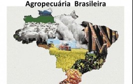Valor Bruto da Produção Agropecuária é estimado em R$ 689,97 bilhões para 2020