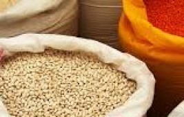 Exportações do Agro batem recorde e superam os US$ 10 bilhões em abril