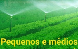 Plano Safra traz mais de R$ 66 bilhões para pequenos e médios produtores