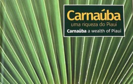Livro sobre Carnaúba revela riqueza do Piauí