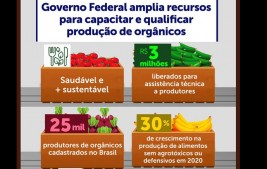 Governo Federal garante R$ 3 milhões para capacitação e ampliação de produção de alimentos orgânicos