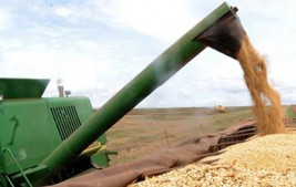 Contribuição previdenciária sobre o valor da receita bruta da agroindústria é constitucional