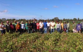 Apoio da Prefeitura Municipal fortalece Agricultura Familiar em Uruçuí