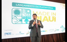 Plataforma Made in Piauí é lançada para conectar produtores piauienses ao mercado digital