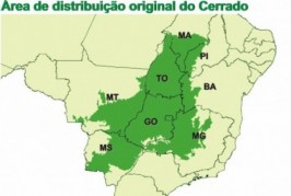 MAIS VENDA DE FAZENDA NOS CERRADOS