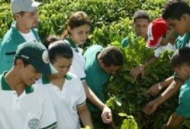 Trabalhadores rurais terão 120 mil vagas em cursos técnicos este ano