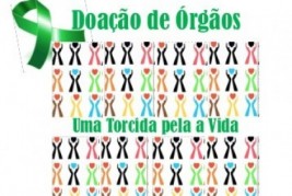 Piauí já realizou 185 transplantes de córneas e rins em 2013