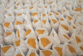 Governo mantém expectativa de super safra