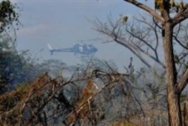 Incêndio ameaça Parque  da Cidade de Teresina