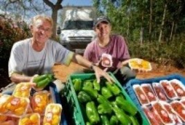 Autorizado pagamento de benefícios a agricultores