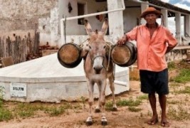 Água é fonte de alimento e prosperidade no Semiárido